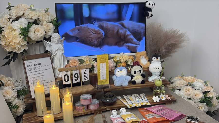 佛山宠物告别厅